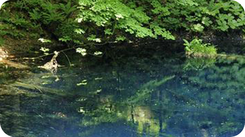 北海道 イメージ画像