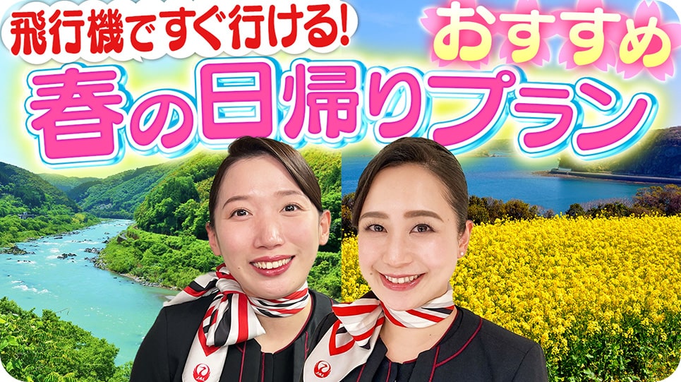 紹介画像