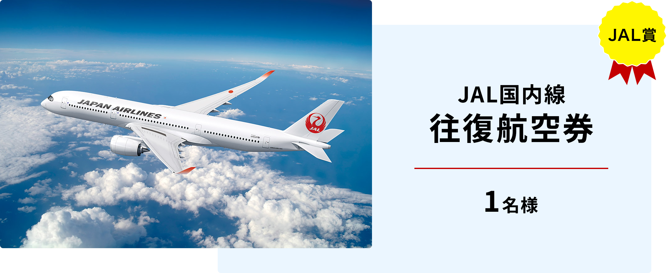 JAL賞 JAL国内線 往復航空券 1名様