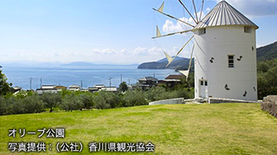 オリーブ公園 写真提供：（公社）香川県観光協会