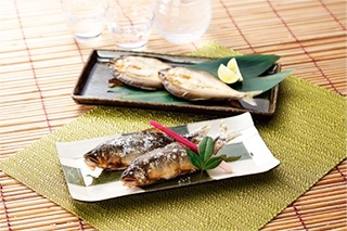 〔結の舟〕世界農業遺産認定品 長良川漁師の天然鮎