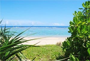 加計呂麻島（イメージ）