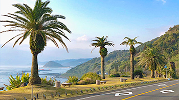 日南海岸（イメージ）（（公財）宮崎県観光協会）