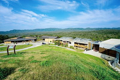 全景