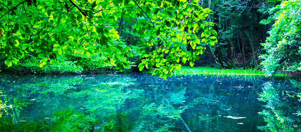 【SARA様】専用・青/緑、各360ｇ≪フォロー割特価≫ 東北（地域紹介） - JALふるさとプロジェクト