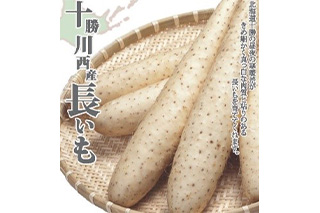 長いも（イメージ）