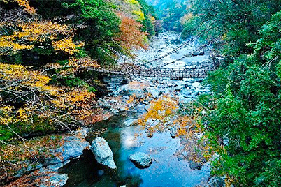 祖谷のかずら橋（イメージ）