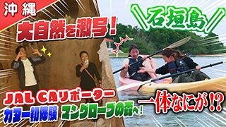 【沖縄】JAL CAリポーターが石垣島の魅力を激写！カヌーでマングローブの森へ！