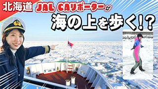【北海道】JAL CAリポーター　網走・知床で流氷体験！オホーツク海の上を歩いてみたらすごかった！