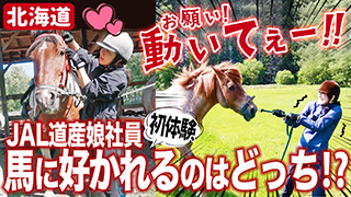 お願い！動いてぇー！！JAL道産娘社員初体験 馬に好かれるのはどっち！？