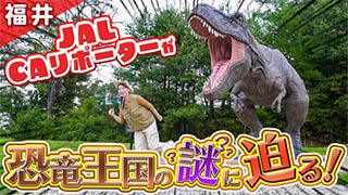 【福井】JAL CAリポーターが福井の恐竜の謎を探る！化石発掘に挑戦！