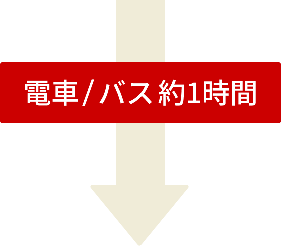 電車とバス 約1時間