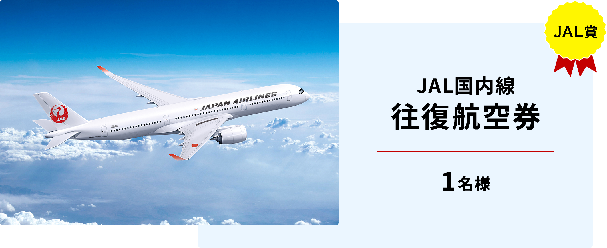 JAL賞 JAL国内線 往復航空券 1名様